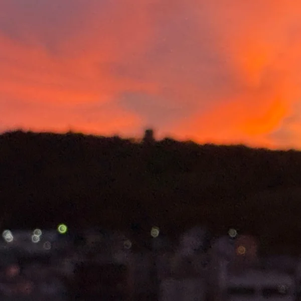 酷暑到来〜☀️