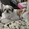 閑散期って本当ですか？😲12月並みの面接ラッシュ到来！！のサムネイル