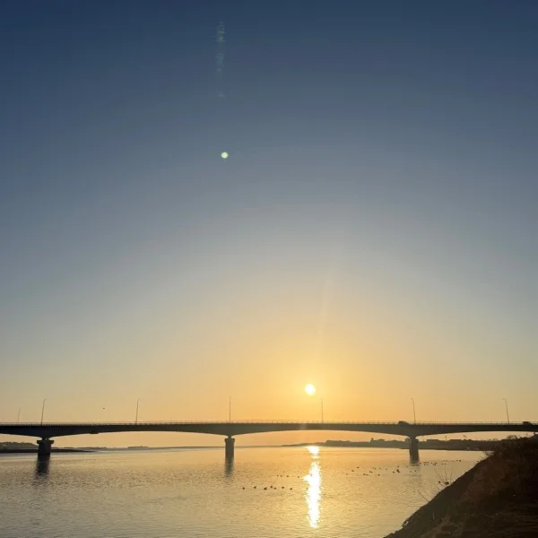 おはようございます☀️☀️
