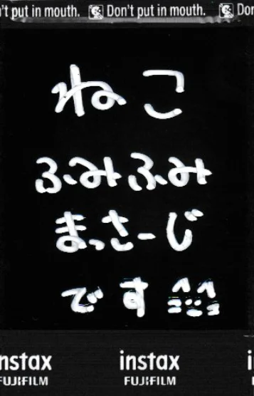 遅れてきたエースねこ