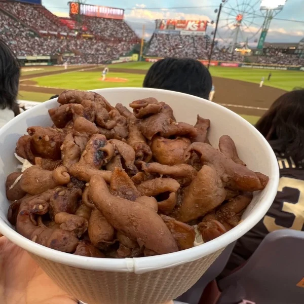 今日も17時から