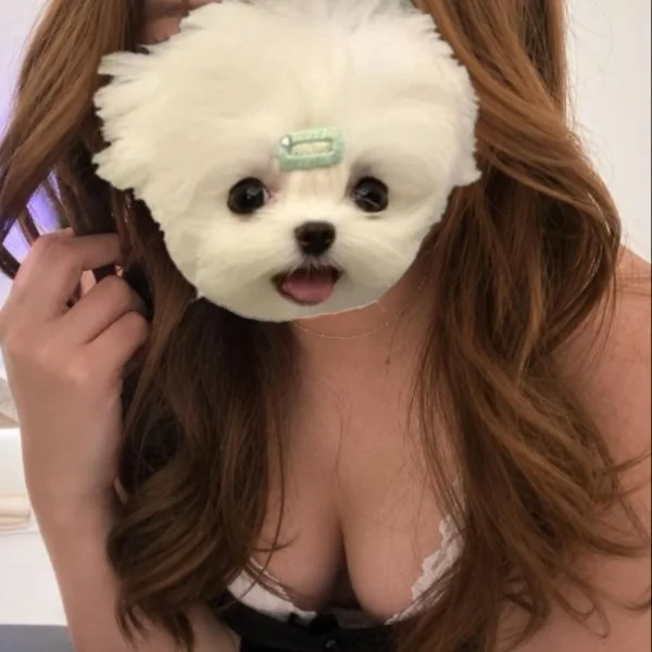 今日もよろしくお願いします🌙✨
