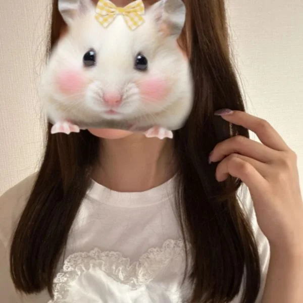 会いにきてね😽