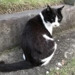 採用担当の山本さん