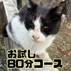 お店のコースその1