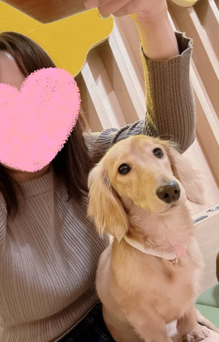 では本日も13時〜😄
