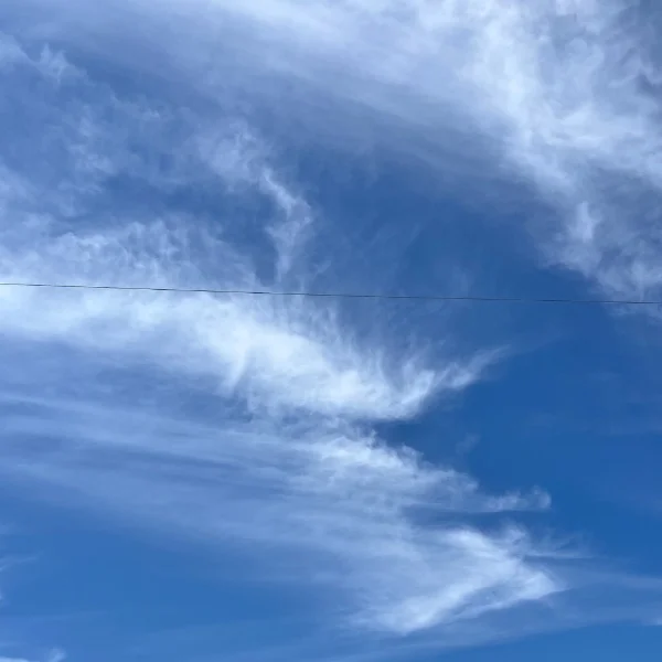 ほのぼの