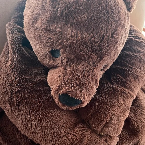 本日19時から出勤します🐻ྀི