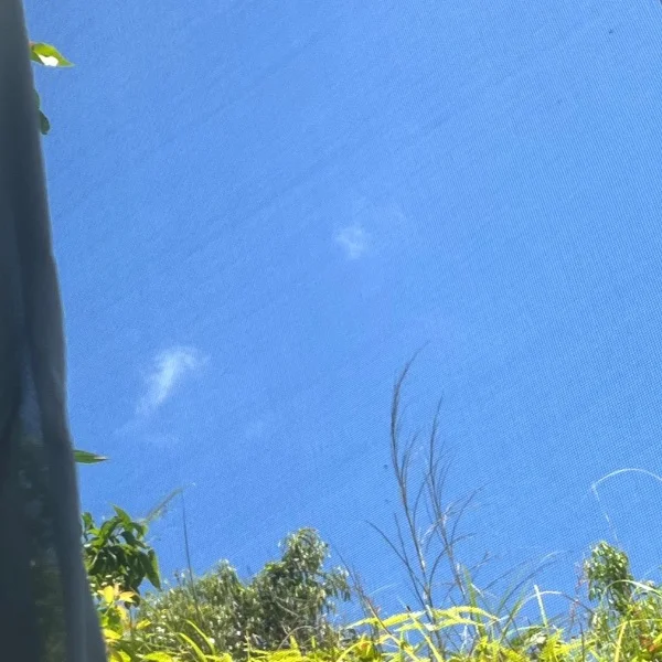 こんにちは🌞