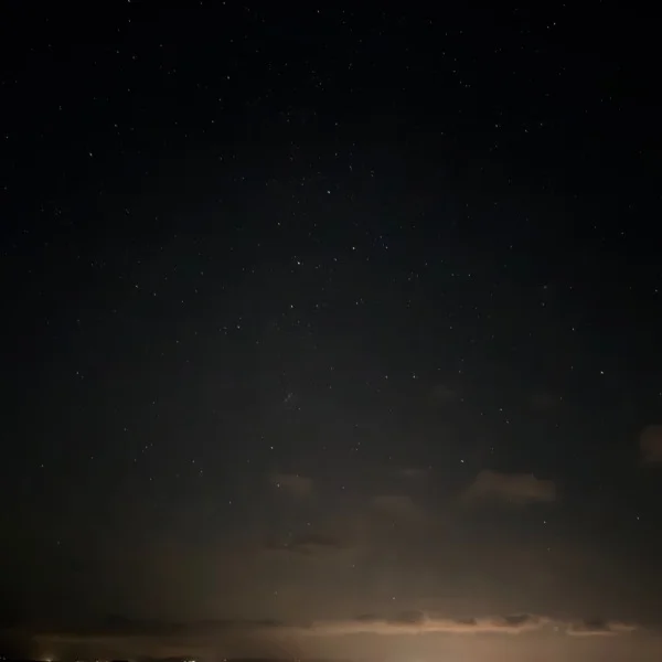 水曜日