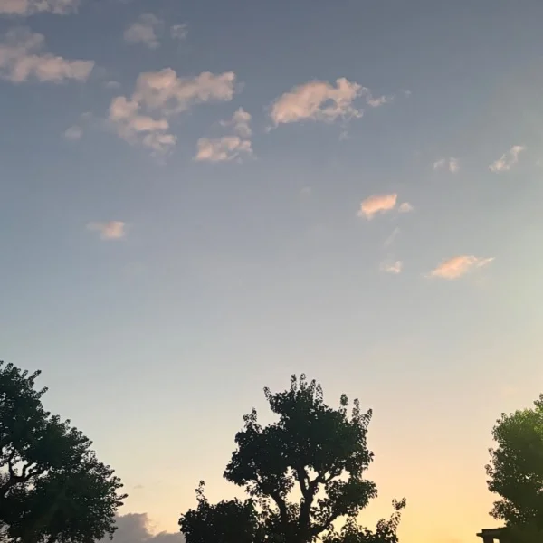 🌷ほのかのほのぼの日和🌷