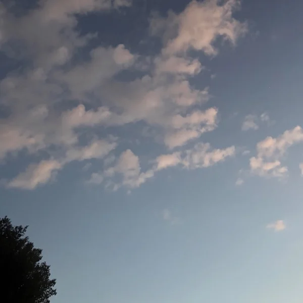 今日はここまで♡ 明日の夜もほのかと一緒に過ごそ？♡