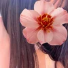ひまり