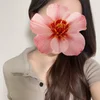 らん