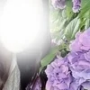 美咲　すみれ