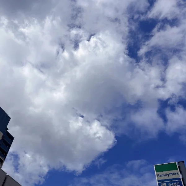 本日から出勤❣️