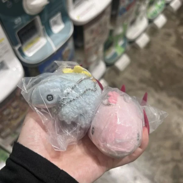 ♡