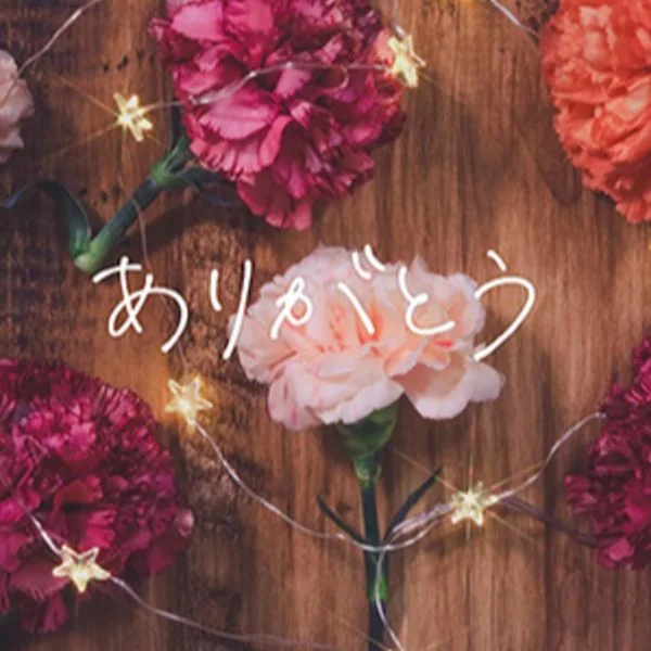7/2お礼🩷💕
