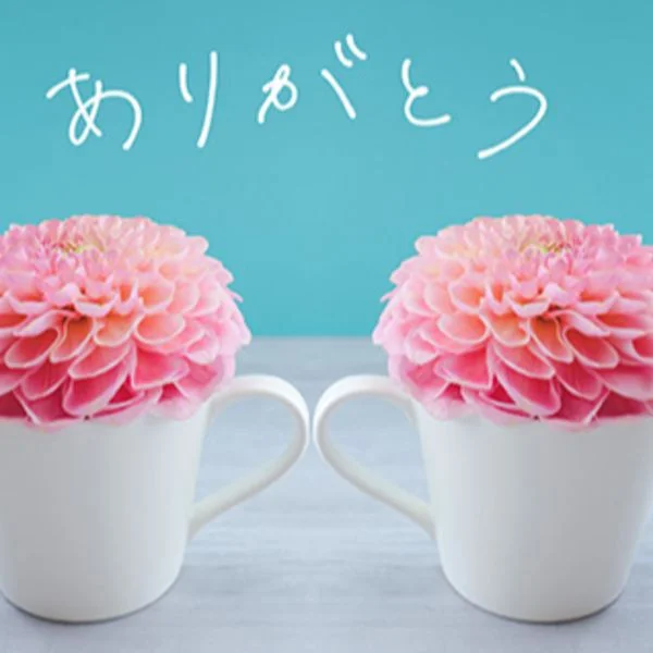 U様ありがとうございます✨