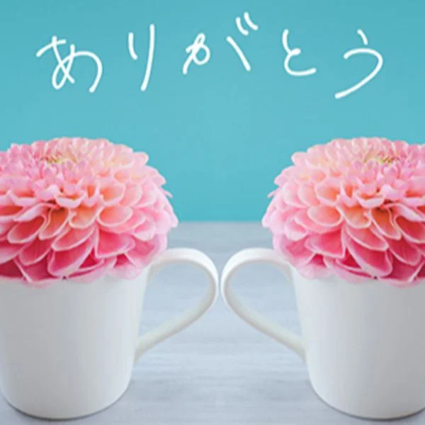 8/27お礼🫶🏻️︎💕