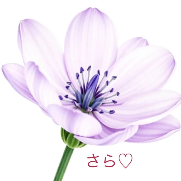 5/8 のお礼