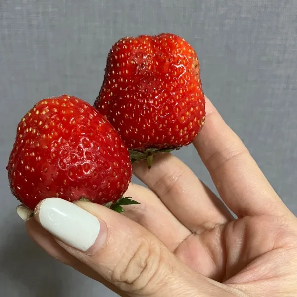 お疲れ様です☆