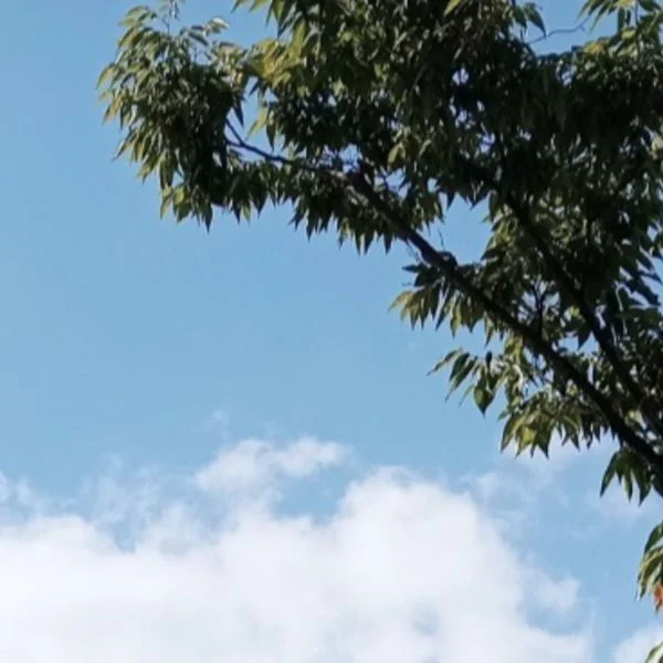 おはようございます☀️