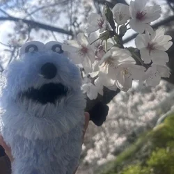 今すぐ会いにいけます🎵