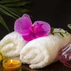 お店のコースその2