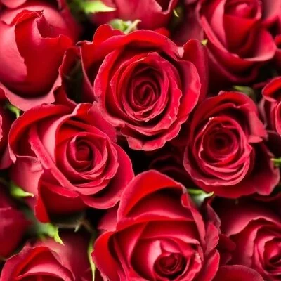 お店の特徴その1