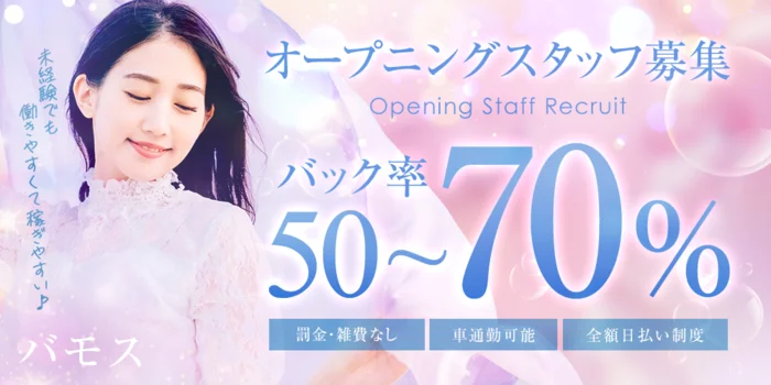 バモスの求人募集イメージ