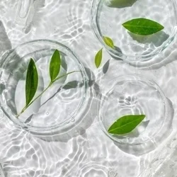 お店のコースその1