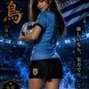 a.k.a.飛鳥