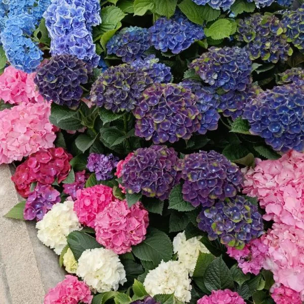 出勤してます☺