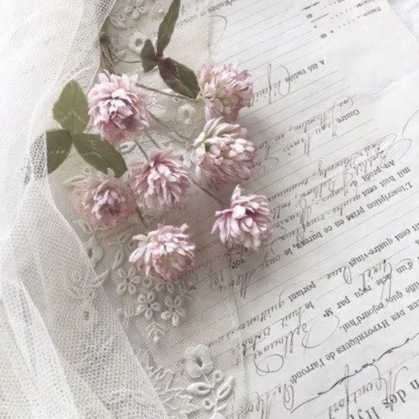 🌼ありがとうございました