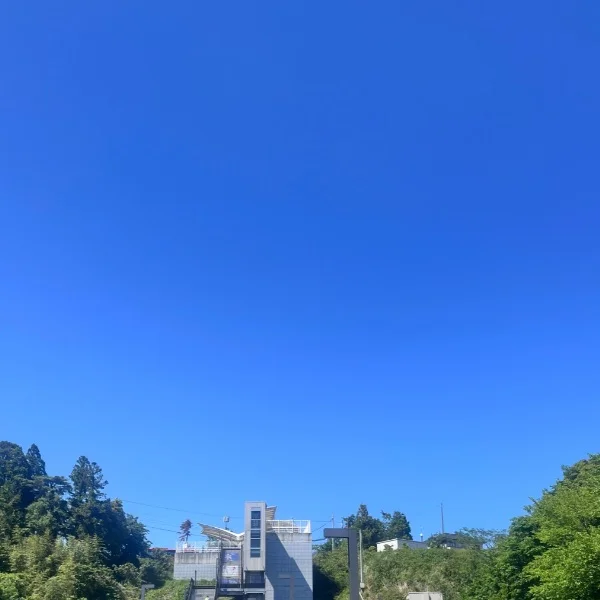 出勤しましたー✨