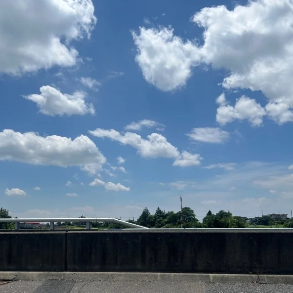 13時から出勤してました🐰
