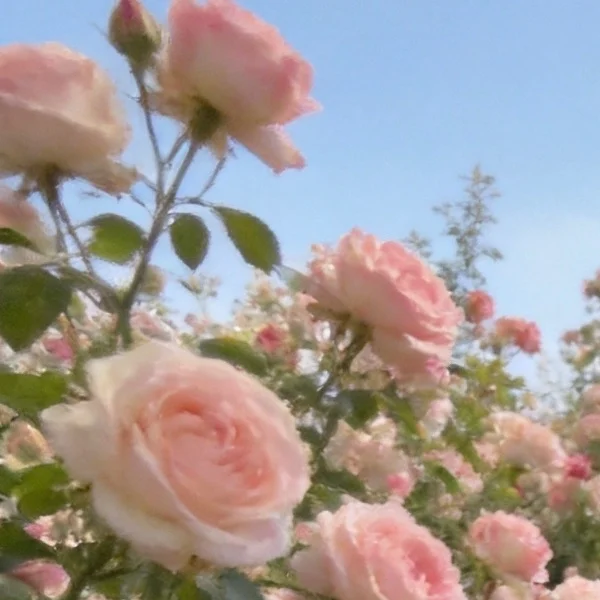今日も♡