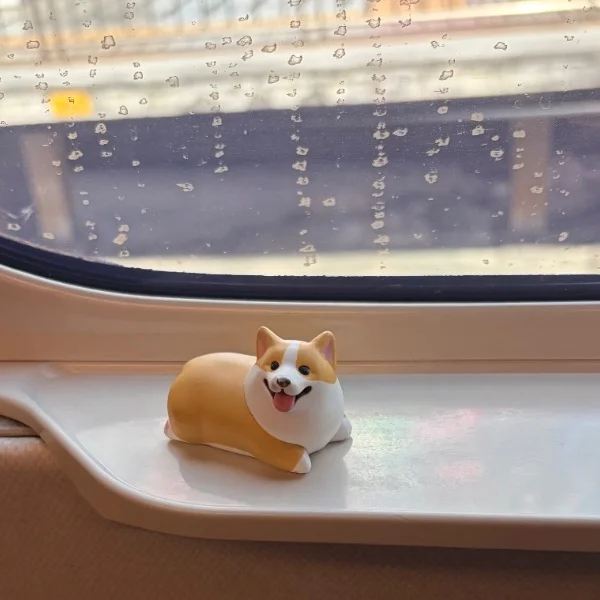 ３ヶ月ぶりのいわきです！