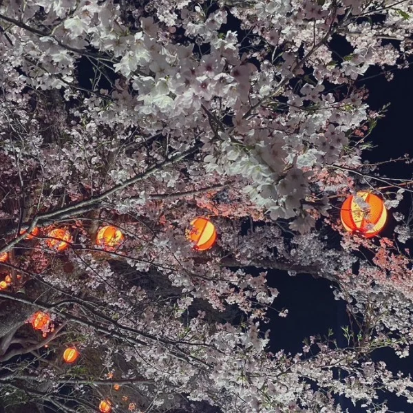 本日出勤💫