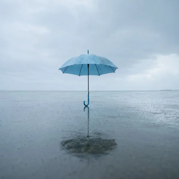 今日からずっと雨じゃんかー