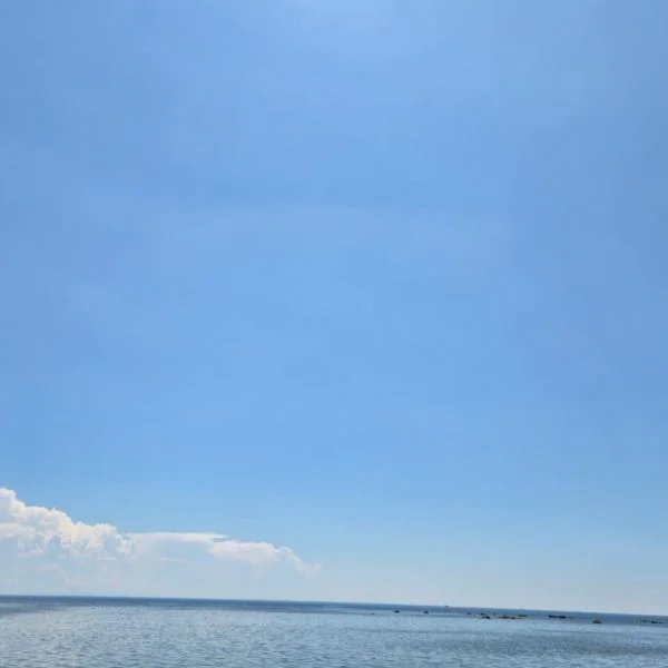 海たのしかったです🌊