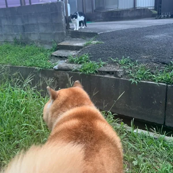 今日もよろしくね( ੭˙꒳ ˙)੭