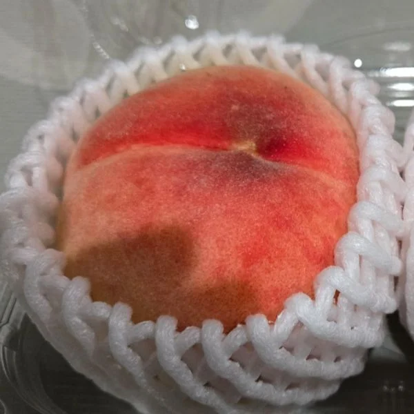 もももももももももももももも