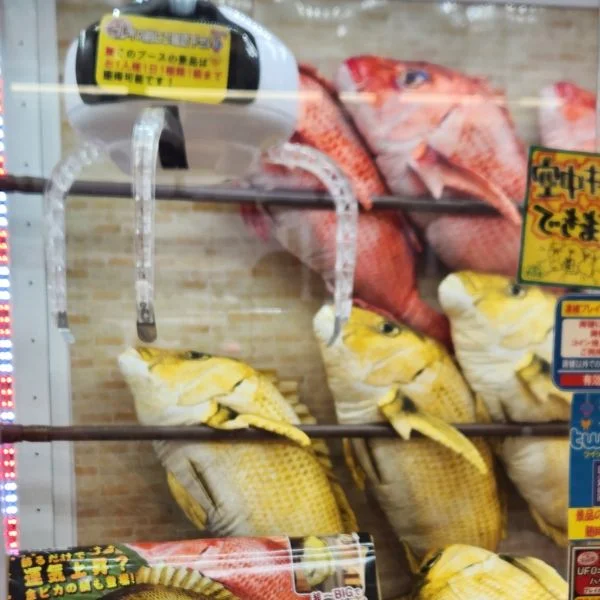 お疲れ様でしたぁ✨️1週間✨