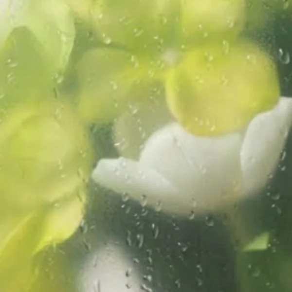 傘を忘れがち☂️