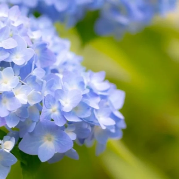 あったかい🌸