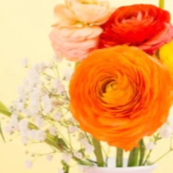 ありがとうございました🌺