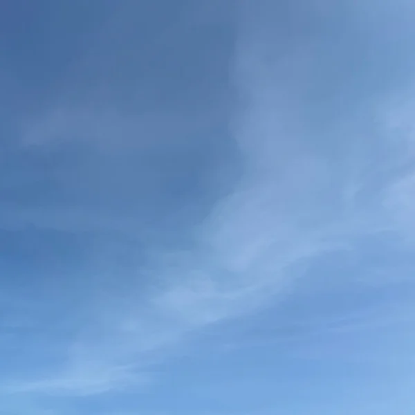 特技と天職‎‎𖤐 ̖́-‬  後半も受付中✨