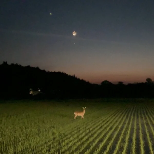 おやすみなさい‎‎𖤐 ̖́-‬